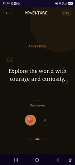 Portfolio Interface View