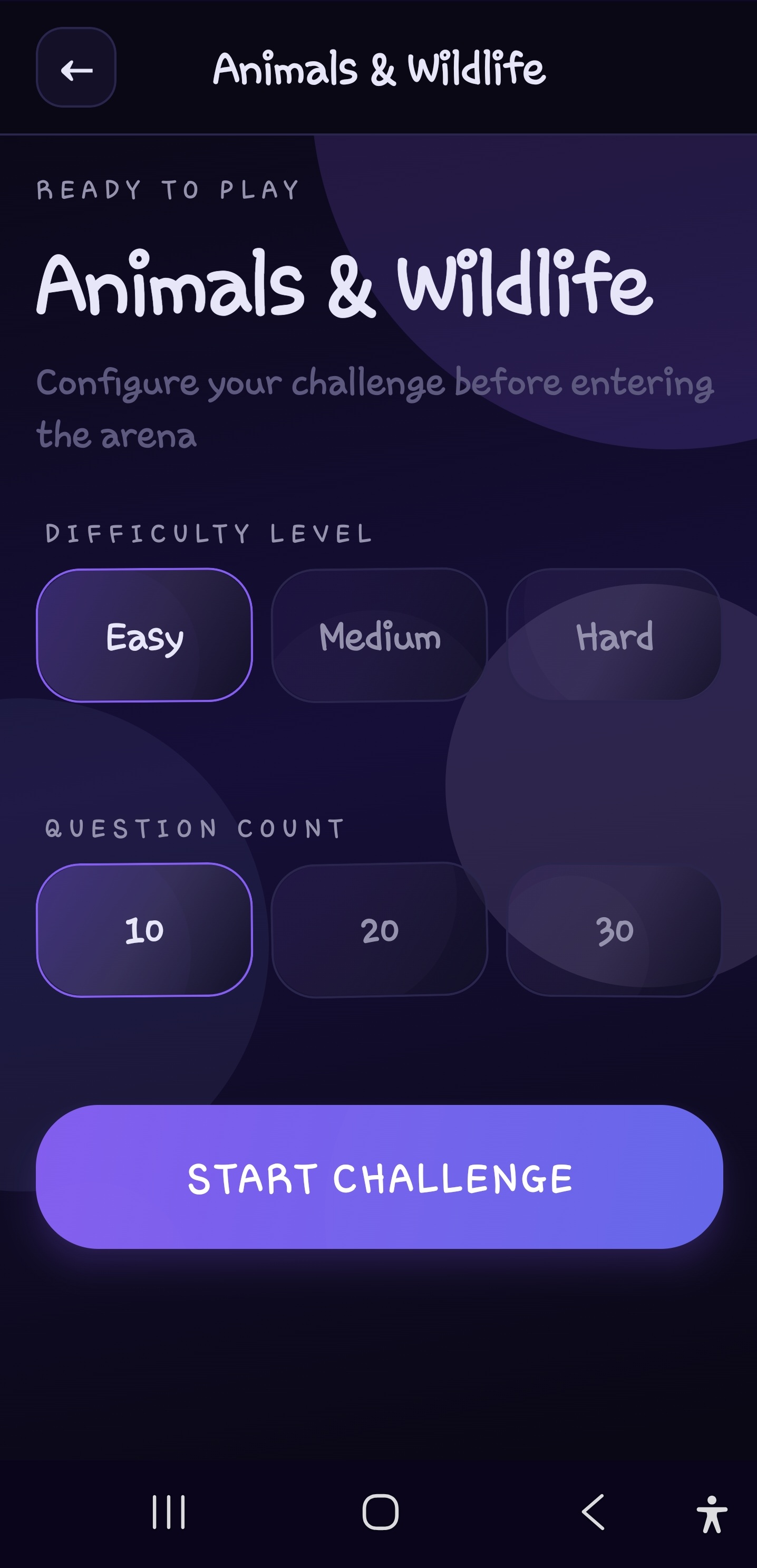 Portfolio Interface View